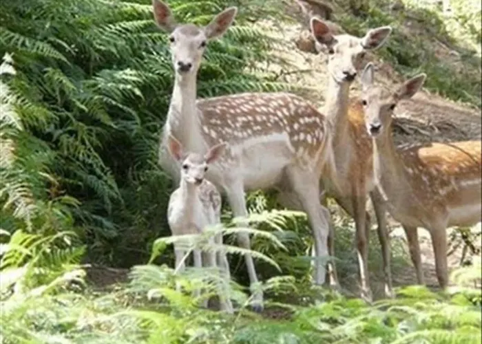 A Casinha Hébergement de vacances *